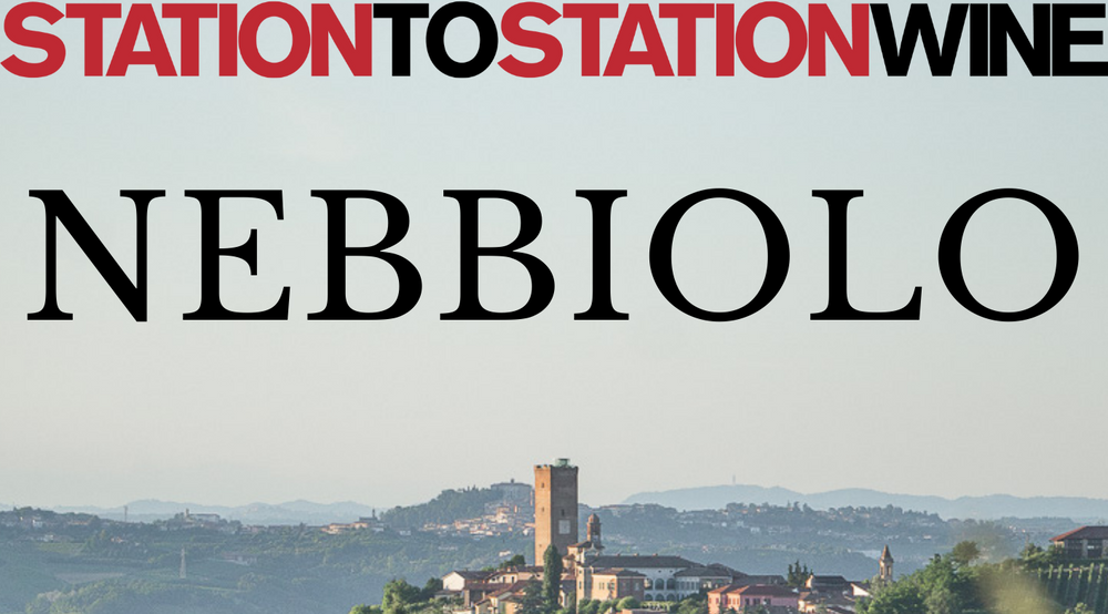 Nebbiolo Wine School